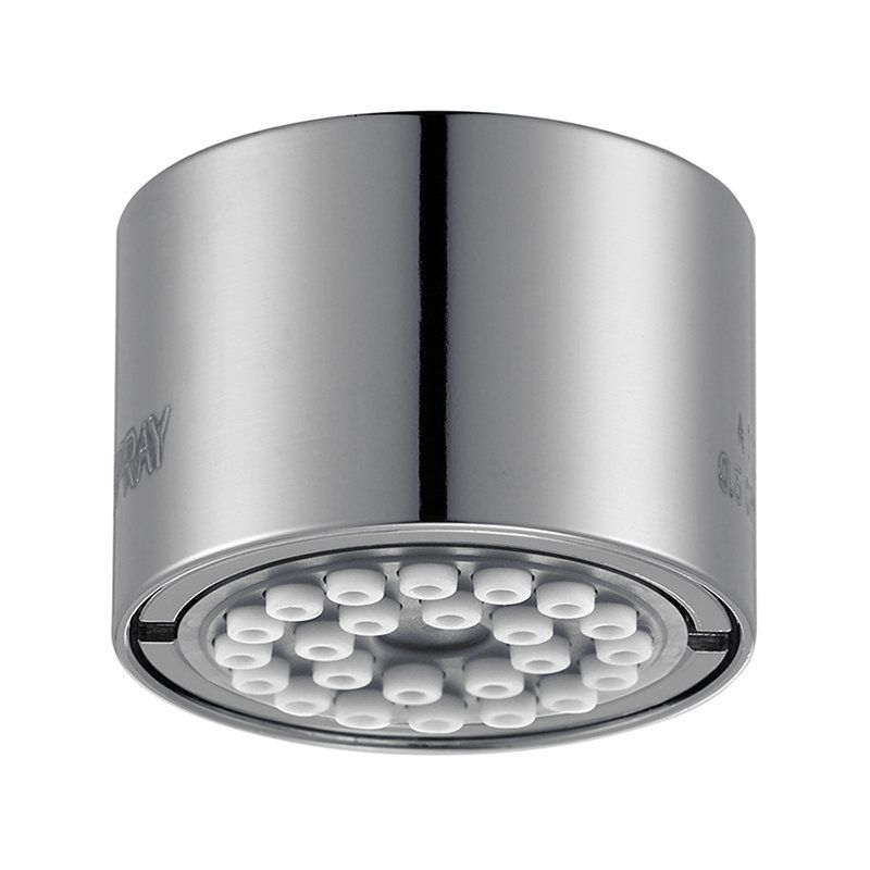 212813 RCM profi Spray